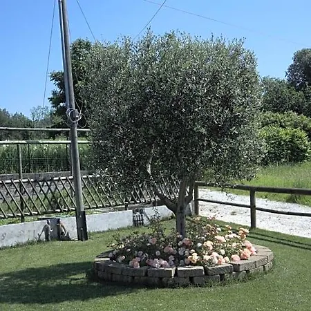 Bed & Breakfast Corte Sant'angelo Passirano