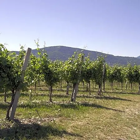 Corte Sant'angelo Bed & Breakfast Passirano