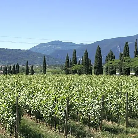 Corte Sant'angelo Bed and breakfast