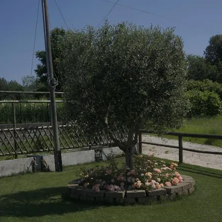 Oda ve Kahvaltı Corte Sant'angelo Passirano